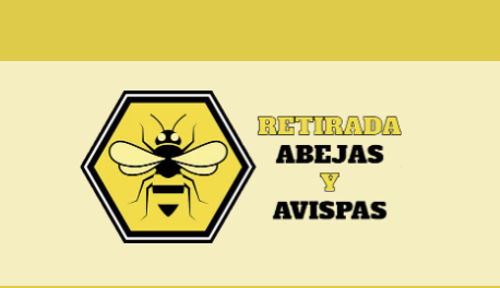 Retirada de avispas y abejas logo